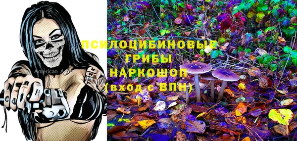 трава Арсеньев