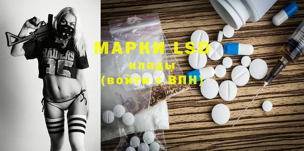 гашик Аркадак