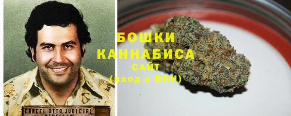 трава Арсеньев