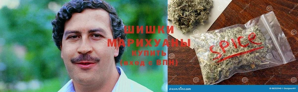 трава Арсеньев