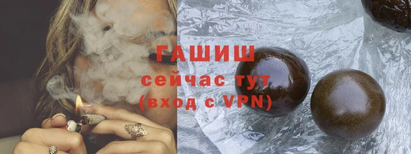 гашик Аркадак